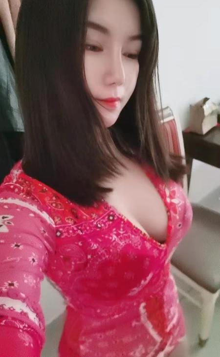 东莞长安乌沙梅子